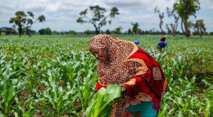 Society seeks the council’s engagement in agriculture