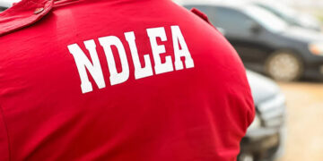 NDLEA Uncovers Snake-Guarded Shrine Storing Drugs in Edo State