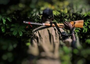 Fatal Hunting Accident: Colleague Tragically Shot Dead by Hunter in Ogun Forest