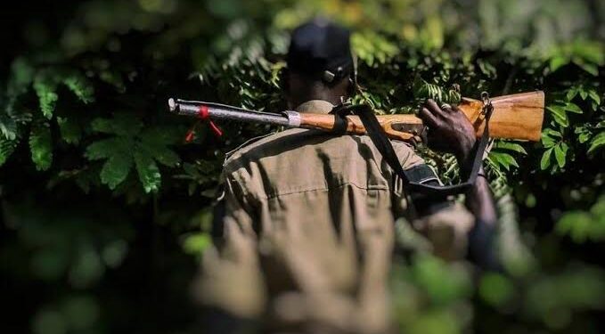 Fatal Hunting Accident: Colleague Tragically Shot Dead by Hunter in Ogun Forest