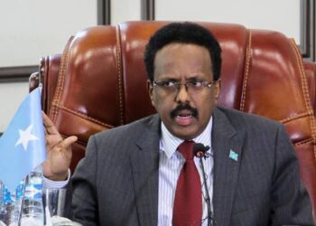 Somalia Requests Slower Withdrawal of Peacekeepers
