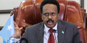 Somalia Requests Slower Withdrawal of Peacekeepers