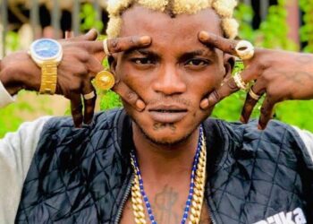 Why I didn’t Quarrel with Davido despite demands for confrontation -Portable