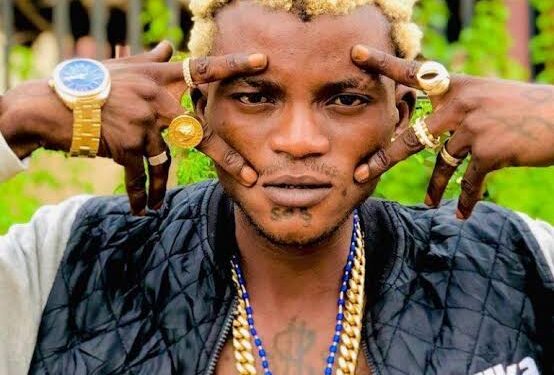 Why I didn’t Quarrel with Davido despite demands for confrontation -Portable