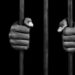 Immigration Officer Sentenced to 7 Years in Prison for Passport Fraud