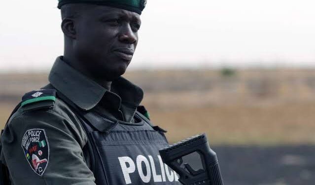 Relief In Osun Community As Police Arrest Robbery Suspects