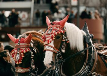 Behind The Scene: Luke Newton’s Diet For Bridgeton Season 3