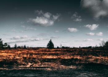 Greek Inferno: Firefighters Battle Blazes Amid Sweltering Winds