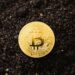 MicroStrategy Plans to Raise $500 Million to Boost Bitcoin Holdings