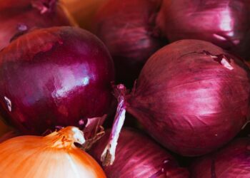 Chopping Onions Without Crying – What Works?