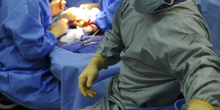 Woman Back On Dialysis After Pig Kidney Function Declined