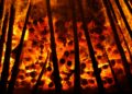 Gale-Force Winds Fuel Wildfire Near Athens, Threatening Beloved Nature Reserve