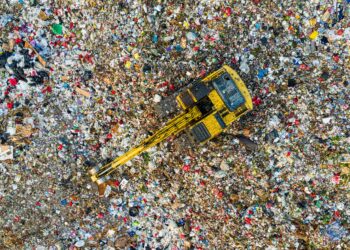 New Study: Microplastics Detected in Human Penises