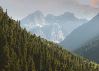 Minister Urges Realistic Minimum Wage to Prevent Job Losses