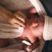Desperation or Callousness? Mother’s Act Leaves Newborn Abandoned, Authorities React