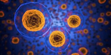 Research Shows Promising Progress In Turning Stubborn Fat Cells into Fat Burners