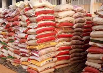 Protest Palava: FG Distributes 50kg Rice to Sell at N40,000