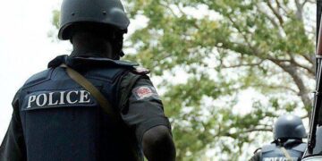 Vigilante Commander Caught with Human Skulls in Rivers