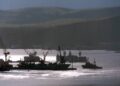 Oil Tanker Sinks Near Manila, Triggering Major Environmental Crisis