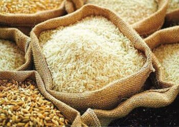 FG Suspends Import Duties on Maize, Wheat and Brown Rice, Here’s Why