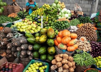 Nigeria Launches High-Powered Task Force to Combat Food Security Crisis