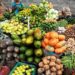Nigeria Launches High-Powered Task Force to Combat Food Security Crisis