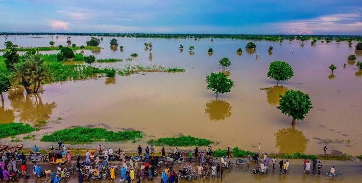 UNO Warns FG to Learn From Previous Devastating Floods