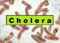 Gavi’s Cholera Vaccine Arrival: Nigeria’s Latest “Miracle Cure”