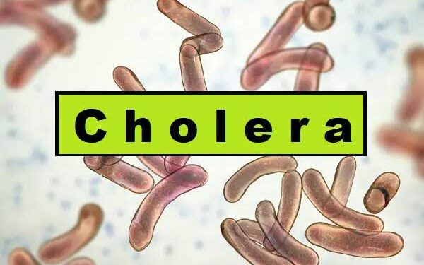 Gavi’s Cholera Vaccine Arrival: Nigeria’s Latest “Miracle Cure”