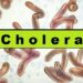 Gavi’s Cholera Vaccine Arrival: Nigeria’s Latest “Miracle Cure”