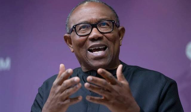 Dangote Refinery Is Too Important To Fail – Peter Obi