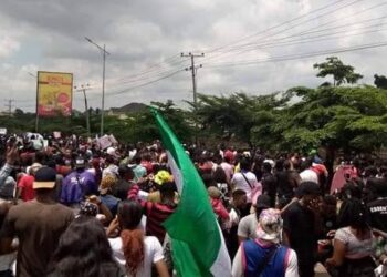 Organised Nigerian Youth Groups Plans Support Rally To Back President Tinubu