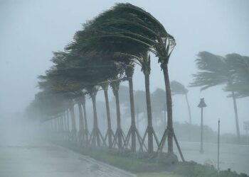 Windstorm Damages 9,733 Houses in Adamawa. – NEMA
