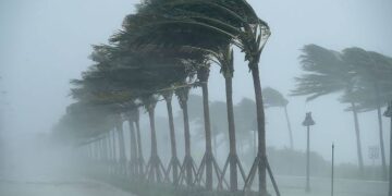 Windstorm Damages 9,733 Houses in Adamawa. – NEMA
