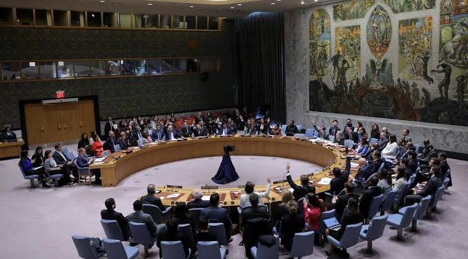 Protesters Disrupt UN Security Council Meeting