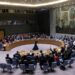 Protesters Disrupt UN Security Council Meeting