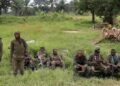 Congo’s Nightmare: Islamist Rebels Kill 17 in Field Attack