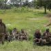 Congo’s Nightmare: Islamist Rebels Kill 17 in Field Attack