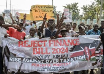Kenyan Activists Call for Renewed Protests Amid Government’s Tax U-Turn