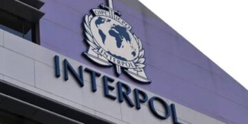 Interpol Reveals Hundreds of Thousands of Dollars Laundered Out of Nigeria Every Hour