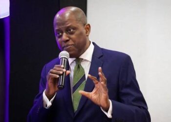 CBN Governor Highlights Fintech Role