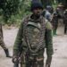 China Condemns Deadly Militia Attack in DRC