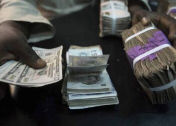 CBN Sells Off Forex to BDCs at N1450/$