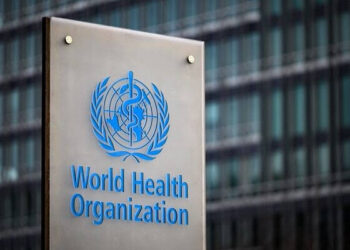 WHO Chief Warns of Polio Outbreak in Gaza