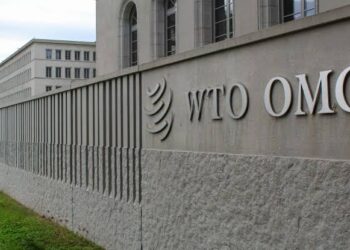 Global Digital Trade Deal Hits Snags with U.S. and Other Reservations