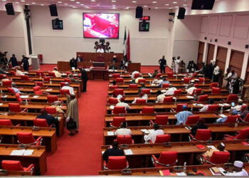 Senate Passes Bill to Double CBN Loans to Federal Government