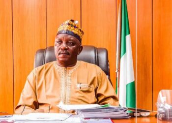 Former Minister of Power Granted N10 Billion Bail