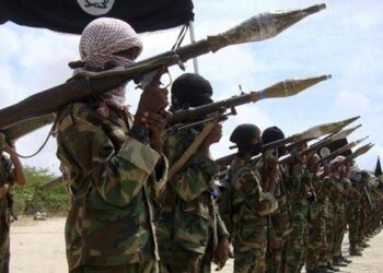 Dozens Killed in Clashes Between Somali Forces and al Shabaab Militants