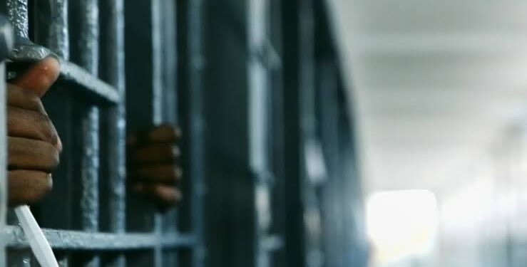 125 Boko Haram Terrorists, Financiers Jailed By Court