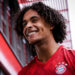 Manchester United Sign Joshua Zirkzee from Bologna for £35 Million